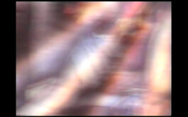  ISO LA - Isabelle Lange