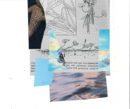  ISO LA - Isabelle Lange