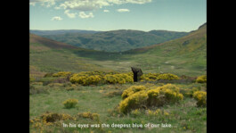 ISO LA - Isabelle Lange