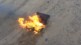 ISO LA - Isabelle Lange