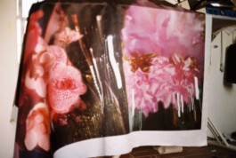  ISO LA - Isabelle Lange