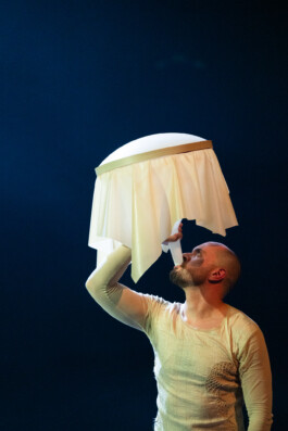 ISO LA - Isabelle Lange